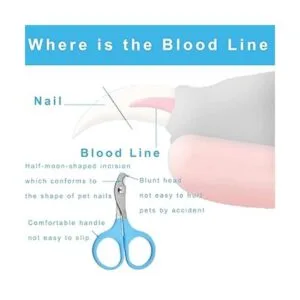 Kit de aseo para conejos de 6 piezas incluido cepillo de_4