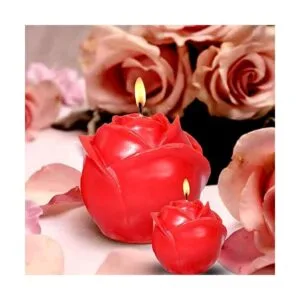 ZQYSING Paquete de 2 moldes de velas de flores de rosa_2