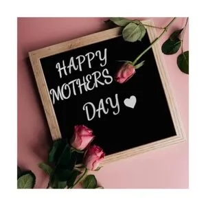 Waynoda 790 piezas de 10 hojas de calcomanías_7