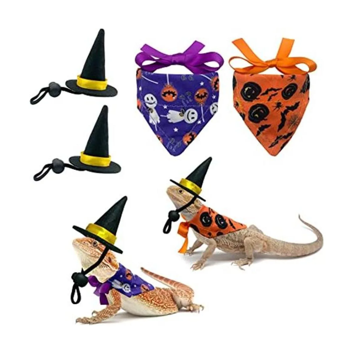 Vehomy Disfraz de bruja de dragón barbudo de Halloween_1