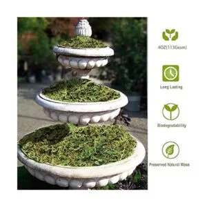 Musgo artificial de musgo falso para plantas en maceta_2