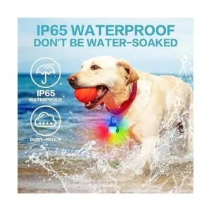 Luces para perros para caminar nocturno luz de collar de_4