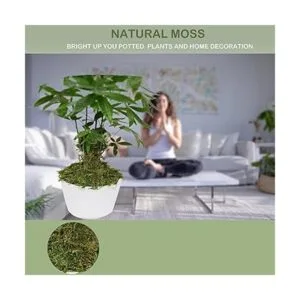 Musgo artificial de musgo falso para plantas en maceta_3