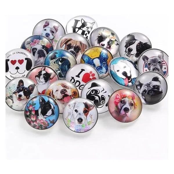 20 dijes de joyería para perros de 0.709 in_1
