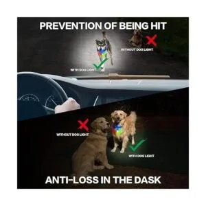 Luces para perros para caminar nocturno luz de collar de_7