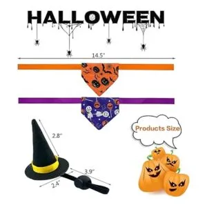 Vehomy Disfraz de bruja de dragón barbudo de Halloween_2