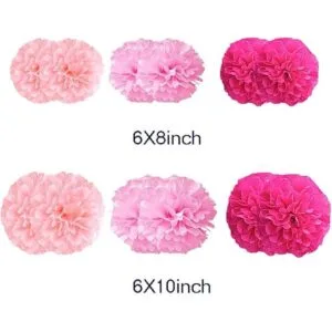 12 piezas de 8 pulgadas y 10 pulgadas kit de pompones de_2