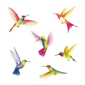DECOWALL BA4002 Calcomanías de pared para colibríes_1