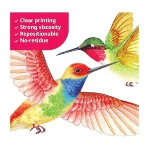 DECOWALL BA4002 Calcomanías de pared para colibríes_4