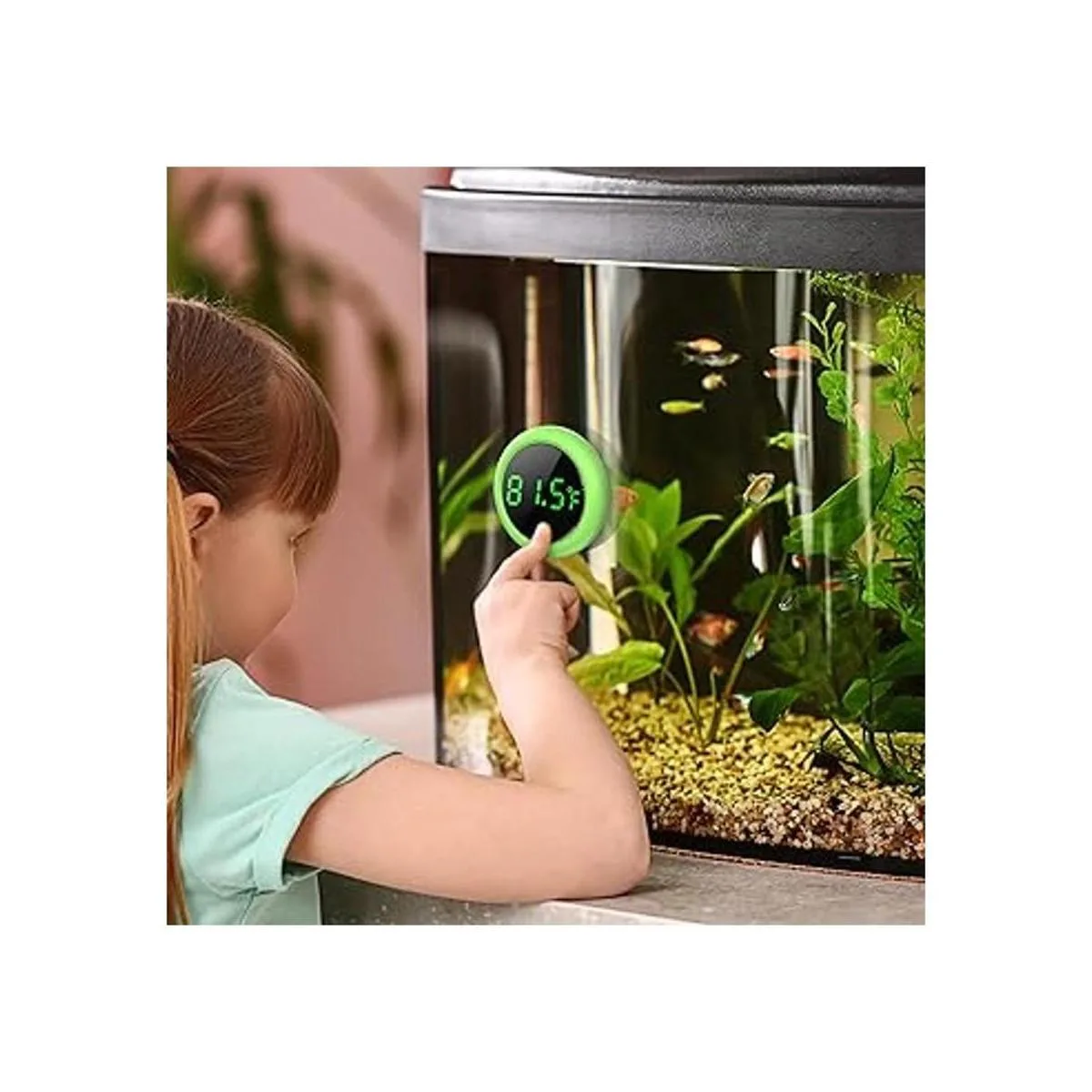 PAIZOO Termómetro LED para acuarios pantalla táctil de_2