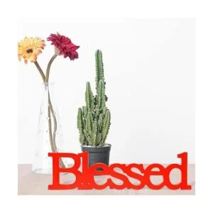 Letrero de mesa de letras bendecidas letrero de mesa de_4