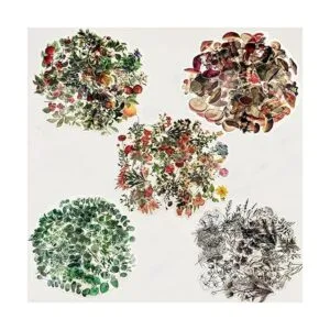 Juego de 200 calcomanías de plantas de eucalipto de_3