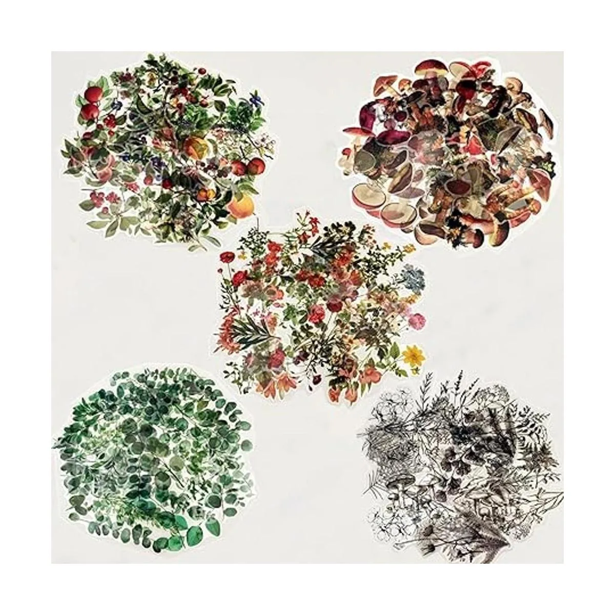 Juego de 200 calcomanías de plantas de eucalipto de_3