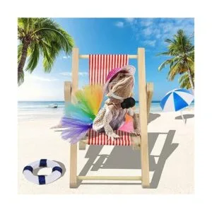 Vehomy Disfraz de dragón barbudo sombrero de dragón_7