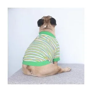 iChoue Camisas de perro de alta elasticidad para perros_3
