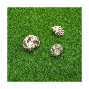 AUEAR Alfombrillas artificiales de césped de hada para_4