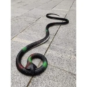 COTOSEY Juguetes prácticos de broma de goma realistas_4