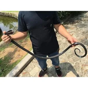 COTOSEY Juguetes prácticos de broma de goma realistas_7