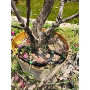 COTOSEY Juguetes prácticos de broma de goma realistas_2