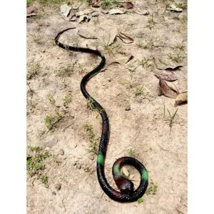 COTOSEY Juguetes prácticos de broma de goma realistas_3