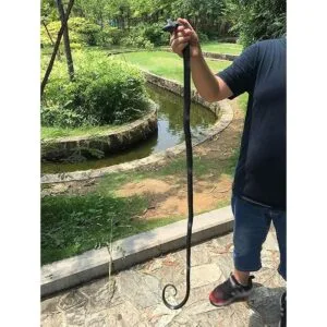 COTOSEY Juguetes prácticos de broma de goma realistas_6