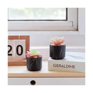 ZENMAG Mini plantas suculentas artificiales suculentas_5
