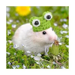 4 piezas de mini animales pequeños de punto a mano con_7