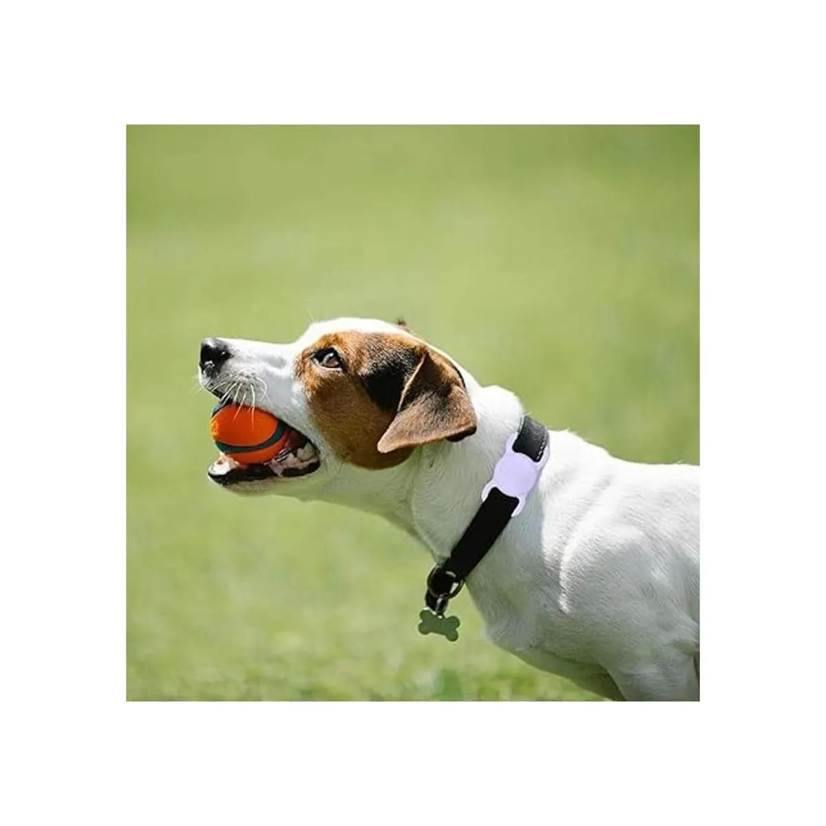 Soporte para collar de perro AirTag paquete de 2 para_5