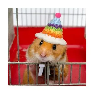 4 piezas de mini animales pequeños de punto a mano con_3