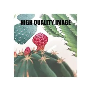 BEASTZHENG Funny Kitchen Reglas Metal Tin Sign Wall Art_5