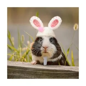 4 piezas de mini animales pequeños de punto a mano con_5