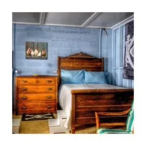 Arte de pared de gallo con fotos de pollo Lienzo_5