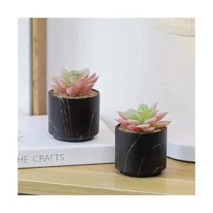 ZENMAG Mini plantas suculentas artificiales suculentas_4