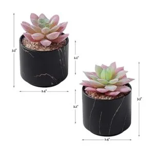 ZENMAG Mini plantas suculentas artificiales suculentas_2