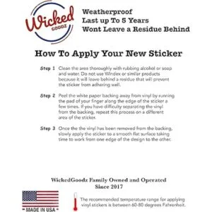 WickedGoodz Calcomanía holográfica de vinilo de labios_2