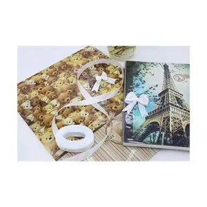 SAILINGGO Paquete de 100 bolsas de plástico translúcidas_6