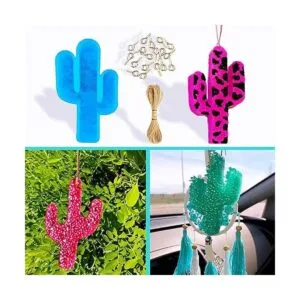 Moldes de cactus para coche Rifanda molde grande con 1_2