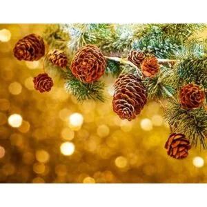 Deloky 150 mini conos de pino naturales de Navidad 0.8 in_5