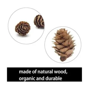 Deloky 150 mini conos de pino naturales de Navidad 0.8 in_2