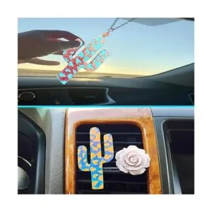 Moldes de cactus para coche Rifanda molde grande con 1_5