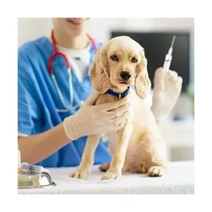 Paquete de 100 agujas de inyección desechables estériles_7