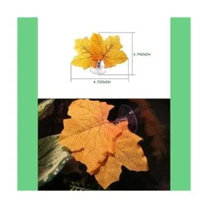 Plantas de reptiles hojas plantas de terrario hábitat_4