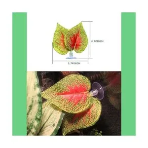 Plantas de reptiles hojas plantas de terrario hábitat_3