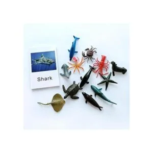 Montessori Animal Match Game Cards Marine Animal Matching_2