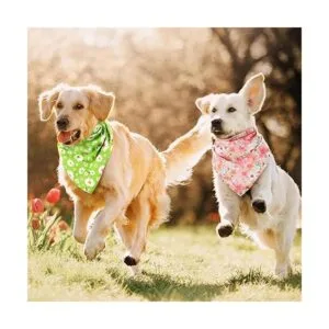 Bandana floral para perro 8 piezas diseño de flores_5