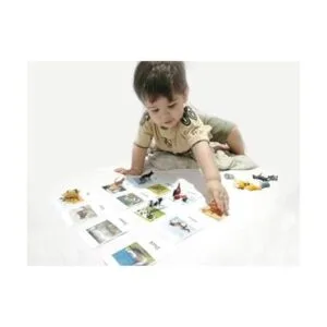 Montessori Animal Match Game Cards Marine Animal Matching_4