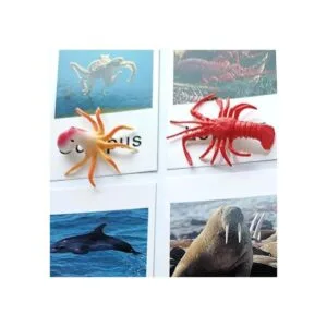 Montessori Animal Match Game Cards Marine Animal Matching_5