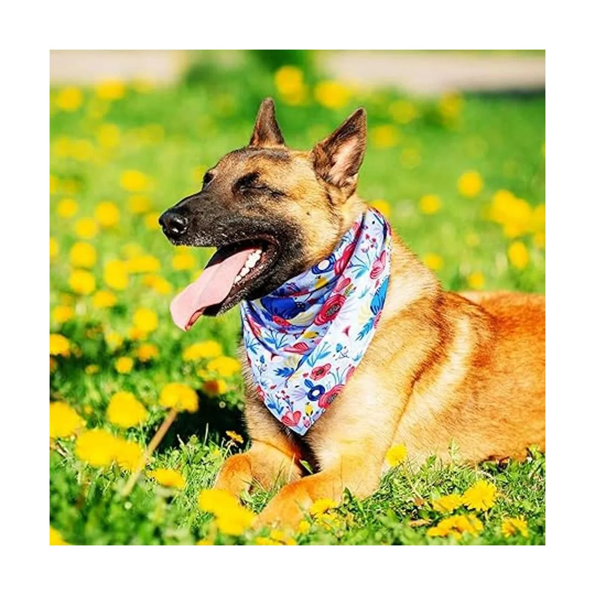 Bandana floral para perro 8 piezas diseño de flores_6