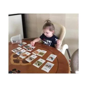 Montessori Animal Match Game Cards Marine Animal Matching_3