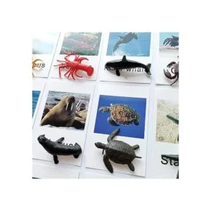 Montessori Animal Match Game Cards Marine Animal Matching_6